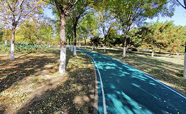 北京市怀柔区滨河森林公园